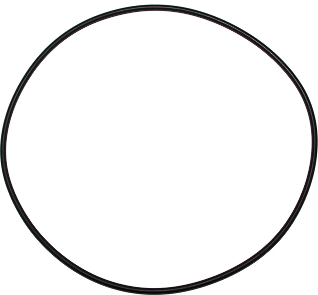 Wolf Dichtung O-Ring 200x4 für MGK-2 3910268