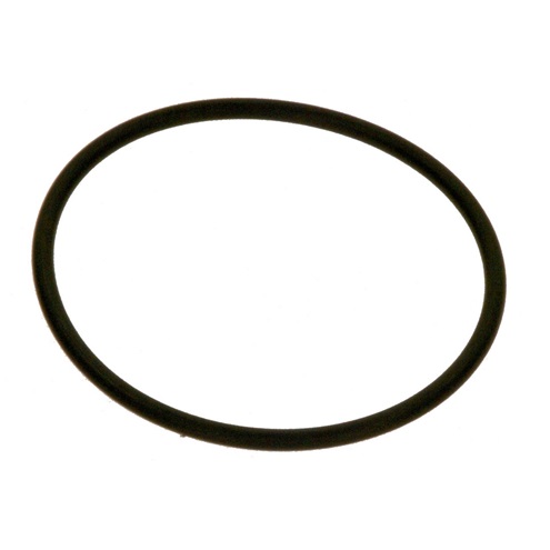 Buderus O-Ring Pumpe 7736700124