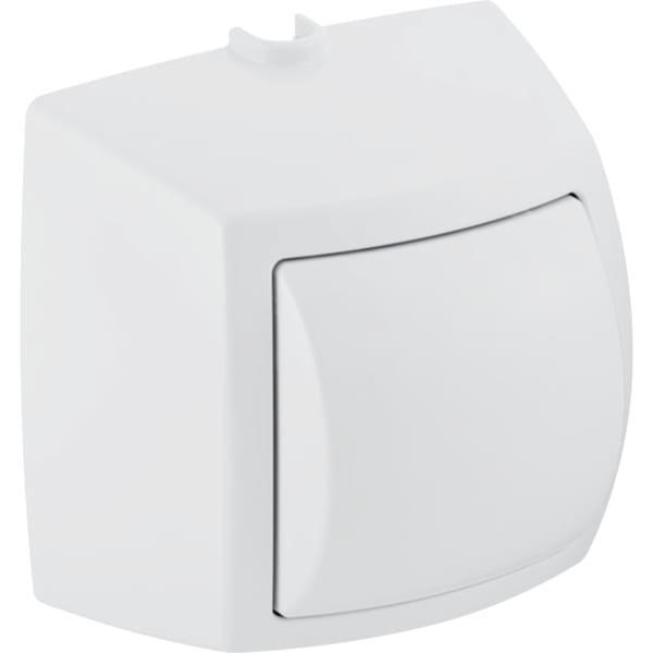 Geberit Handdrücker AP für 1-Mengen-Spülauslösung zu WC-Steuerung pneumatischer Spül-Auslösungchrom 240.570.KA.1