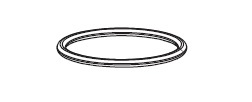 Grünbeck O-Ring zu S 1", 1 1/2" WW 101160
