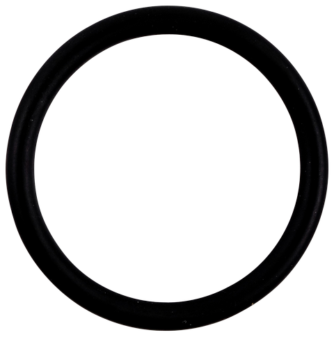 Wolf O-Ring 38x4 für Schutzanode für SEW-1-300 Nohne 39244 ab 01/2024 3910696