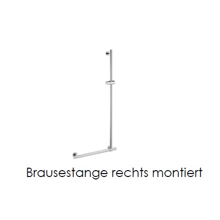 Avenarius Handlauf 600 mm mit Brausestange und Gleiter 9034797010