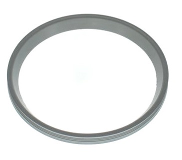 Bosch Lippendichtung DN110 8737711689