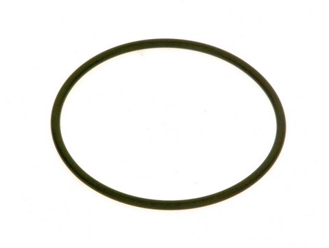 Bosch O-Ring 78x3,5 10 Stück 87167715780