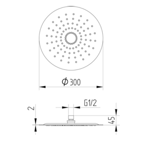 Avenarius Regenbrause 300 x 2mm 9006922016