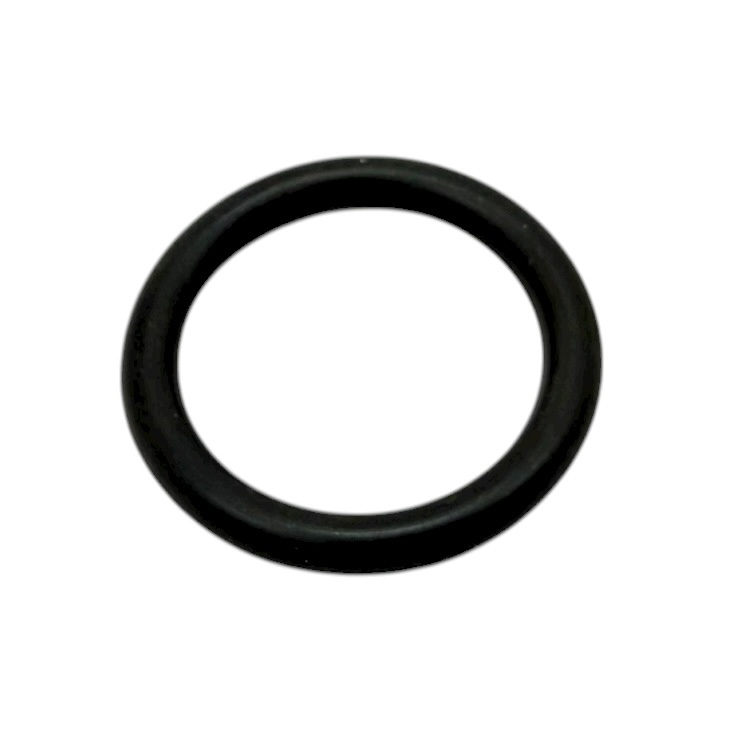 Bosch O-Ring 10 Stück 87161408050