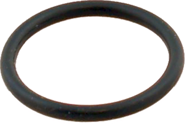 Wolf O-Ring Dichtung 23,47x2,62 für CGB 3910126
