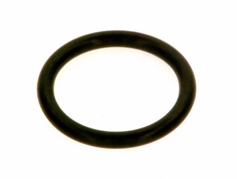 Bosch O-Ring Set für Gasventil 7100122