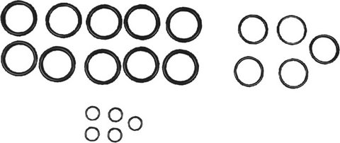 Bosch O-Ringsatz 87199282910