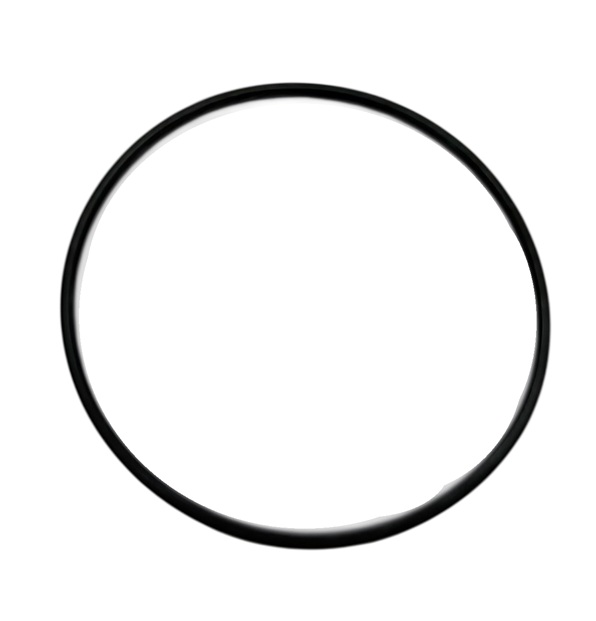 Hansa O-Ring 60 X 3 59913280