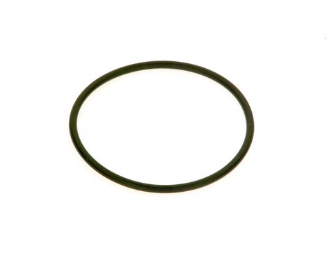 Bosch O-Ring Askoll 5 Stück 7736700104