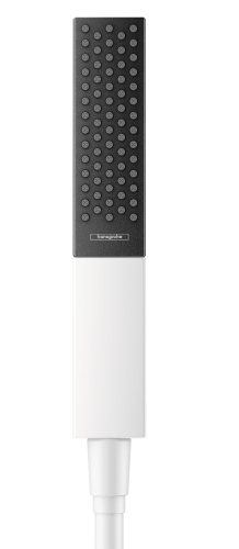 Hansgrohe Handbrause Rainfinity 1jet mattweiss 26866700