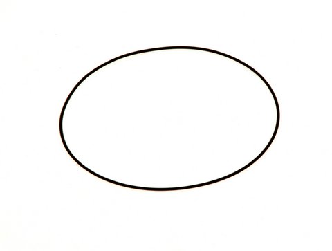 Bosch / Buderus O-Ring 100x1,5 NBR 63025182