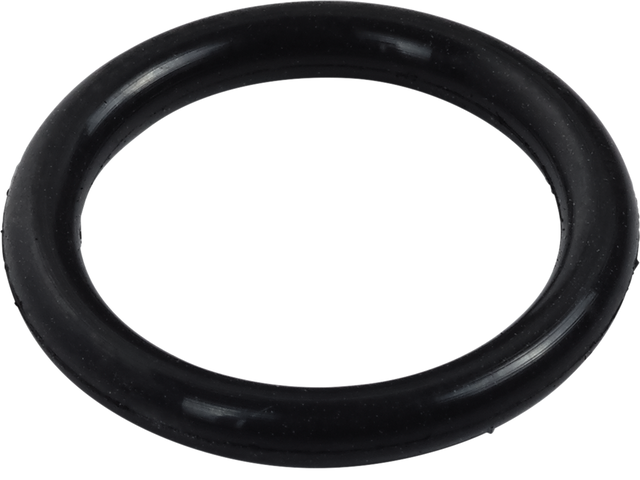 Stiebel Eltron Reduzierring 12 x 2 # 169378