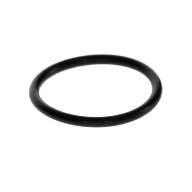 Bosch O-Ring (10x) 17004S