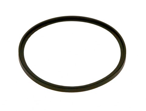 Bosch / Buderus Lippendichtung DN125 87167632640