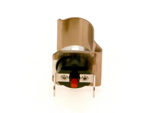 Bosch Thermostat 8738715576