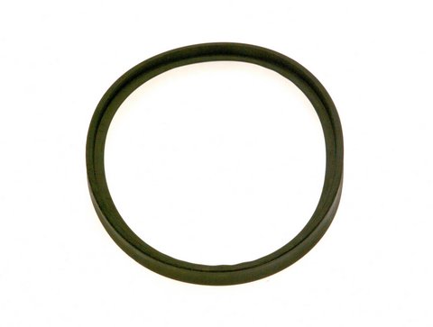 Bosch Dichtgummi 100x8 87161116730