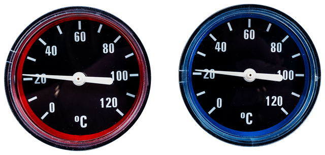 Wolf Thermometer-Set DN40/50 für Verrohrungsgruppen 2747938