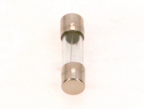 Bosch / Buderus Sicherung T1,25A 10 Stück 19045223380