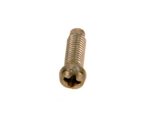 Bosch Schraube 10 Stück 87034010510