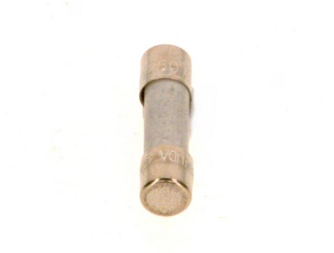 Bosch Sicherung 10A 10 Stück 8738803397