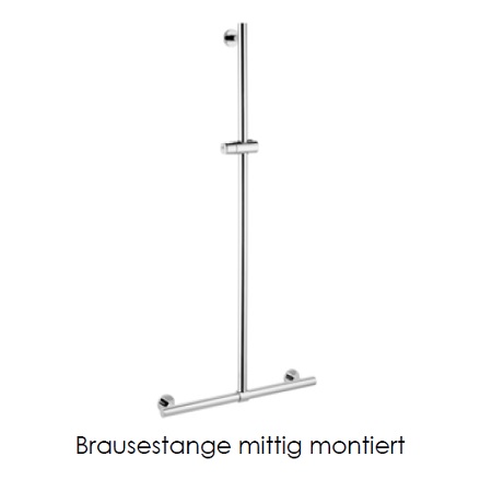 Avenarius Handlauf 600 mm mit Brausestange und Gleiter 9034797010