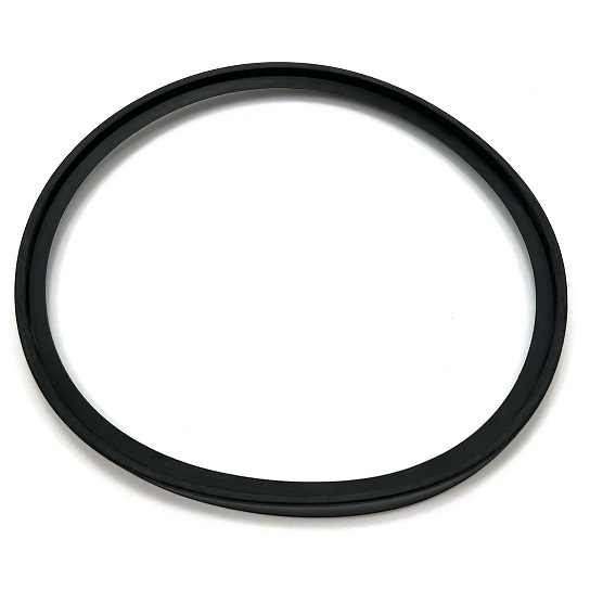 Bosch Lippendichtung DN125 7736700058