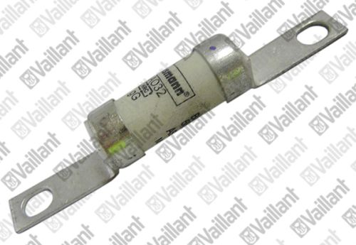Vaillant Sicherung für VWL 115/2 A 230V 0020175834