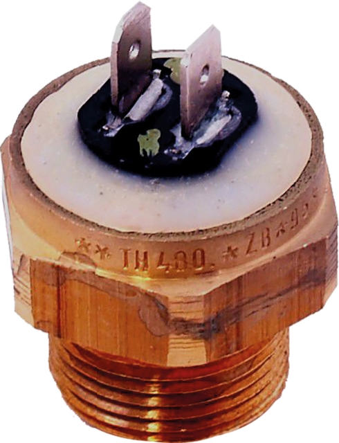 Wolf Sicherungsthermostat Pumpe 95C für BVG-23/30 2744658