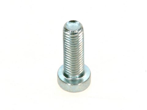 Bosch Zylinderschraube DIN7984 M8x25 8.8 A3K 8718584683