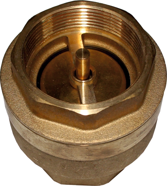 Wolf Rückschlagventil IG 2" PN10 für LS, SLS, FWS 2071483