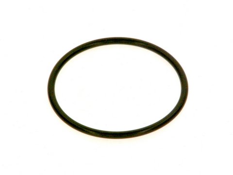 Bosch O-Ring Armatur V44 8718584784