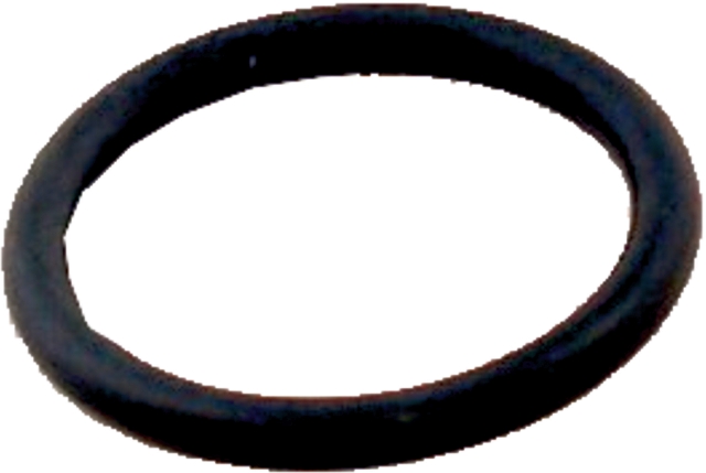 Wolf O-Ring für Strömungsschalter 5718767199