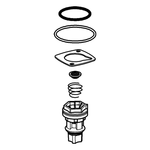 Grohe Kolben komplett für Tectron 577 42797000