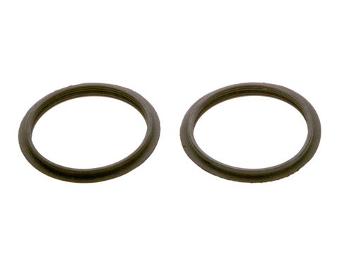 Bosch Dichtring D59mm (2x) 8737711102